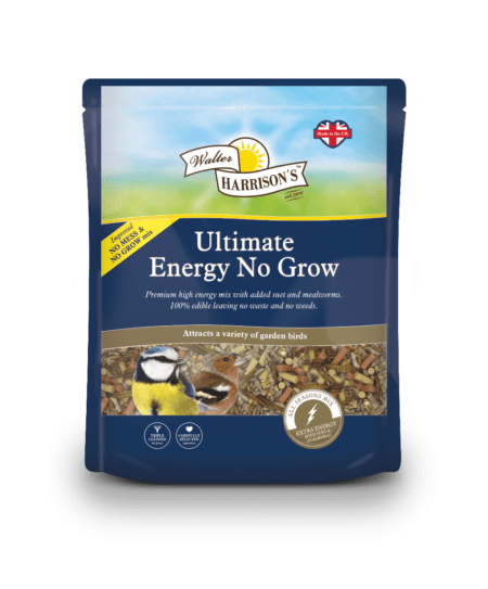 Walter Harrison's Ultimate Energy No Grow 2kg