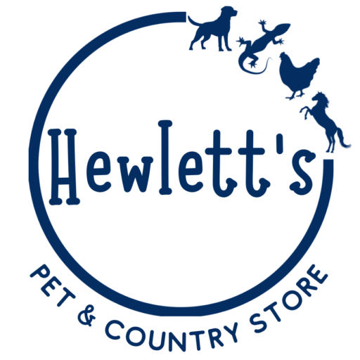 cropped-Logo-3.png