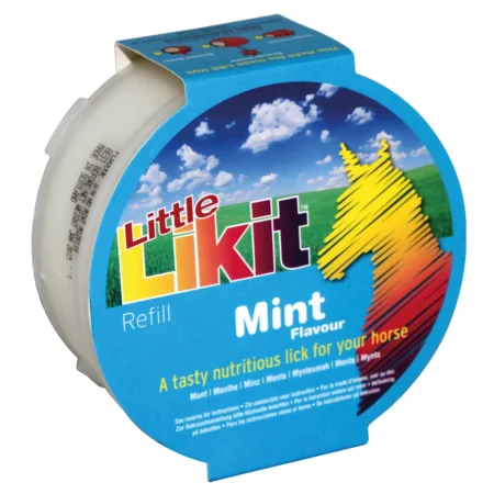Little Likit Horse Treat (Mint)