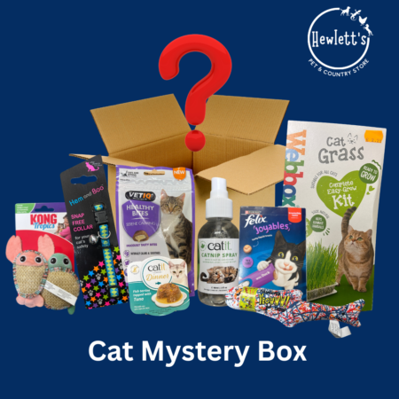 Hewlett's Cat Mystery Box