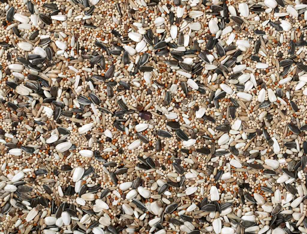 Johnston & Jeff Large Parakeet Bird Seed