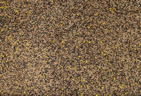 Johnston & Jeff Favourite Mixed Canary Cage Bird Seed