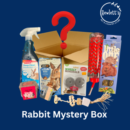 Hewlett's Rabbit Mystery Box