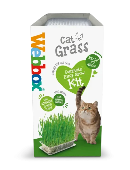 Webbox Cat Grass Easy Grow Kit