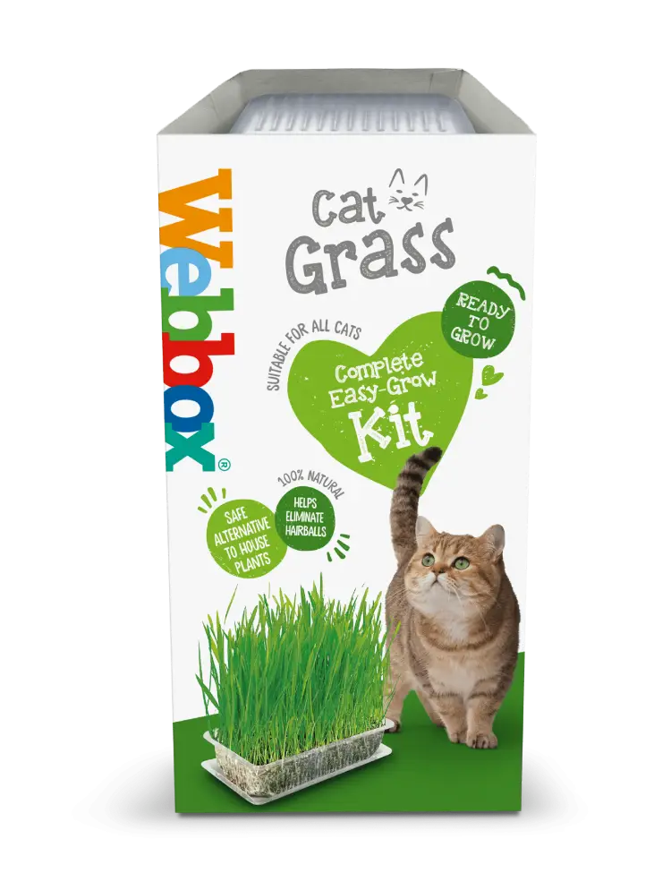 Webbox Cat Grass Easy Grow Kit
