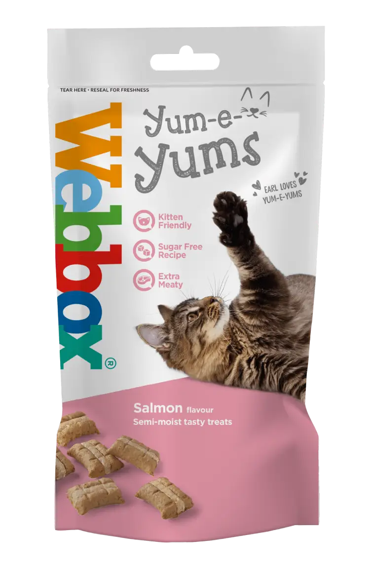 Webbox Yum-e-Yums Cat Treats (Salmon)