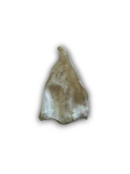 Anco Naturals Cow Ear Natural Dog Treat