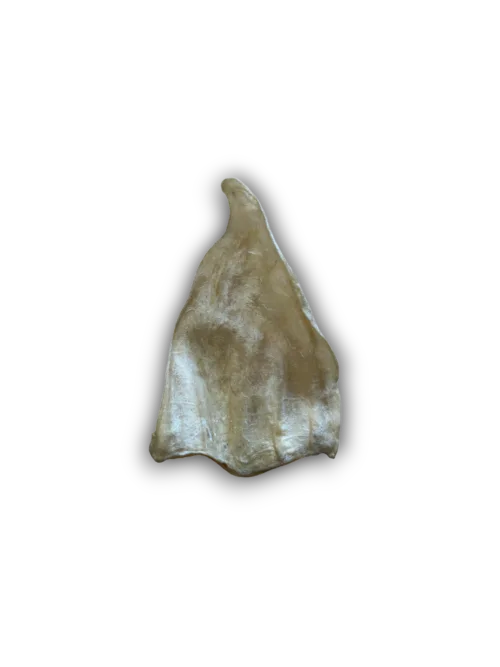 Anco Naturals Cow Ear Natural Dog Treat