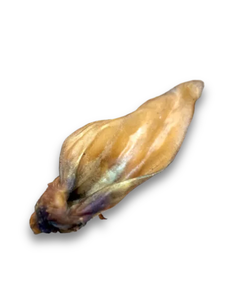 Anco Naturals Meaty Buffalo Ear Natural Dog Treat