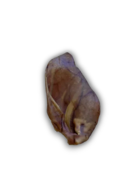 Anco Naturals Pig Ear Natural Dog Treat