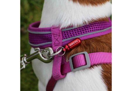 Ancol Aluminium Dog ID Tube