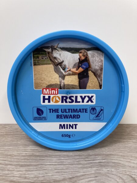 Mini Horslyx Horse Treat