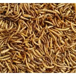 Hewlett's Dried Mealworms for Wild Birds 500g