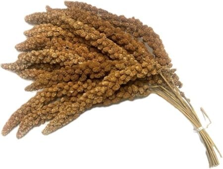 Hewlett's Loose Millet Sprays for Birds and Small Pets