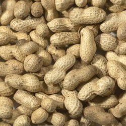 Hewlett's Monkey Nuts Peanuts in Shells for Cage or Wild Birds 1kg