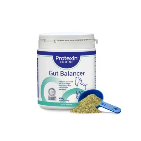 Protexin Gut Balancer Supplement for Horses