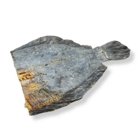 Hewlett's Air Dried Half Sole Fish Natural Dog Treat