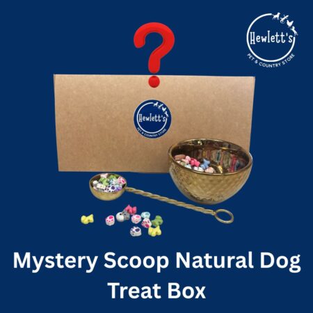 Mystery Scoop Natural Dog Treat Box